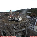 14_40-nest.jpg