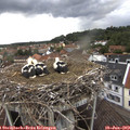 17_05-nest.jpg
