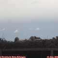 17_10-mast.jpg