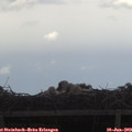 17_15-mast.jpg