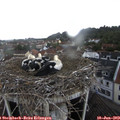 17_20-nest.jpg
