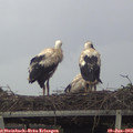 18_05-mast.jpg