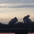 05_30-mast.jpg