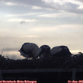 06_30-mast.jpg
