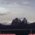 06_35-mast.jpg