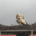09_05-mast.jpg