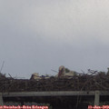 14_05-mast.jpg