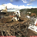 14_25-nest.jpg