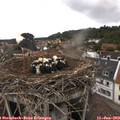15_00-nest.jpg
