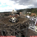 15_35-nest.jpg