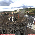 16_00-nest.jpg