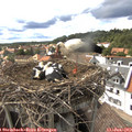 16_20-nest.jpg