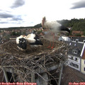 16_35-nest.jpg