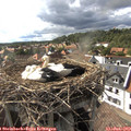 16_55-nest.jpg