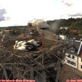 17_15-nest.jpg