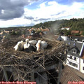 17_25-nest.jpg