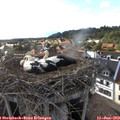 17_55-nest.jpg