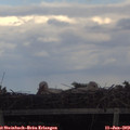 18_30-mast.jpg