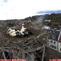 18_30-nest.jpg