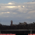 18_35-mast.jpg