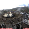 18_35-nest.jpg