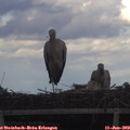 19_05-mast.jpg