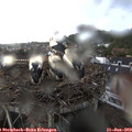 20_00-nest.jpg