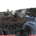 21_10-nest.jpg