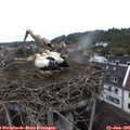 08_10-nest.jpg