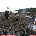 08_20-nest.jpg