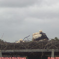 15_05-mast.jpg