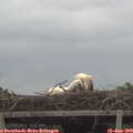 16_05-mast.jpg
