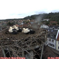 16_10-nest.jpg