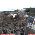 17_40-nest.jpg
