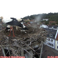 05_30-nest.jpg