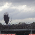 06_35-mast.jpg