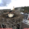 06_40-nest.jpg