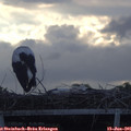 06_45-mast.jpg