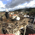 08_25-nest.jpg