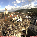 08_55-nest.jpg