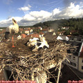 09_00-nest.jpg