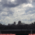 09_25-mast.jpg