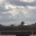 09_55-mast.jpg