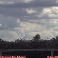 10_05-mast.jpg