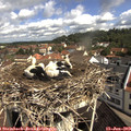 10_15-nest.jpg