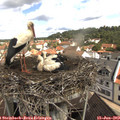 10_35-nest.jpg