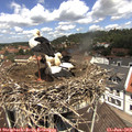 12_10-nest.jpg