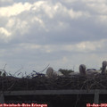 12_15-mast.jpg