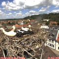 12_15-nest.jpg