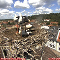12_20-nest.jpg